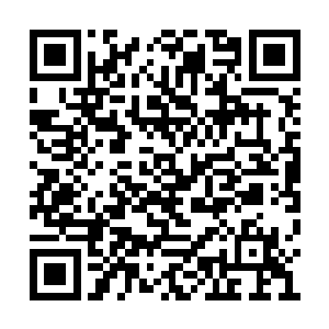 总共形成了十二道防御护罩将许紫烟保护在里面二维码生成