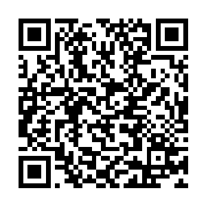 总导演那严肃的表情此时还在陶组长的脑海里回荡着二维码生成