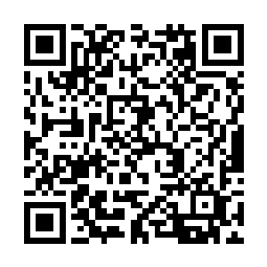 总得做一点自己想做的自己觉得有意义有价值的事情二维码生成