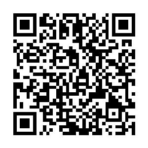 总数算起来聚集在天才殿内的天才们就多达两百多个二维码生成
