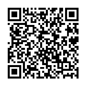总是不好打扰两个几个月不见的恋人重逢的喜悦不是二维码生成