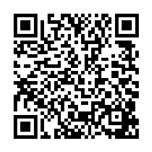 总是会有一些生物通过各种方法出现在各个地方二维码生成