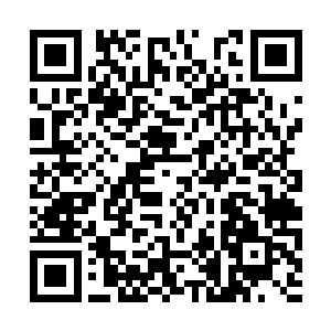 总是先和飞星大学的某一位专家学者有过具体接触二维码生成