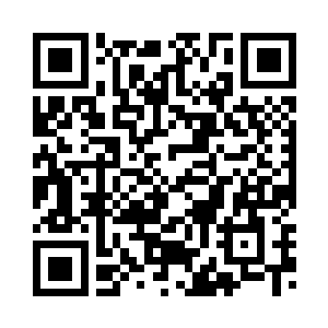 总是忍不住找借口去推广公司转转二维码生成