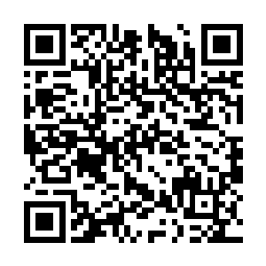 总是感觉他们并不是一门心思的在这个事业上面了二维码生成