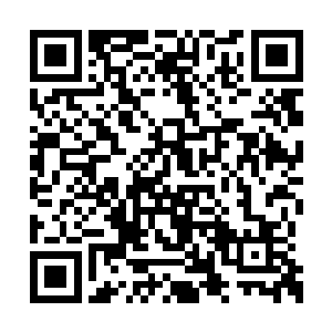 总是能从茫茫人海中选择出具备大红潜力的新人二维码生成