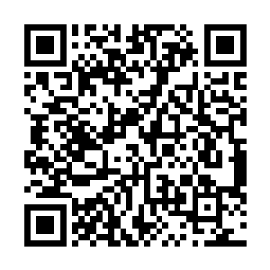 总是能看见碧海不厌其烦的催促着碧莲加紧修炼的这一幕二维码生成