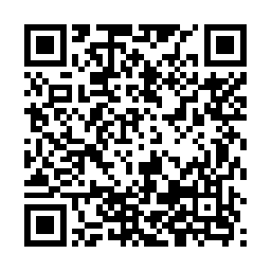 总是需要有人做这些事的……这句话说出来没什么分量二维码生成