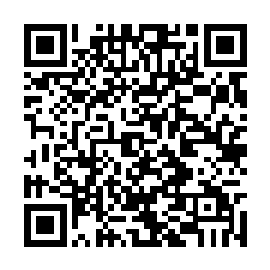 总有一天他会将这个杀招改造成最适合自己的版本二维码生成