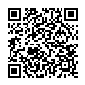 总有一天姐姐跟姐夫会带着全部都是钢器在手的将士冲入千周二维码生成