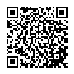 总比一回去就入赘做乡村大脸盘大屁股王菊花的夫君要好是不是二维码生成