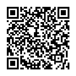 总比库巴大君的某个女儿或者手下的女将军得到传承要好二维码生成