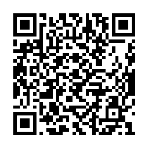 总比承认自己是一个修真者要容易让唐猛接受吧二维码生成