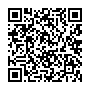 总比每次跟大舅子出来打猎都是悲剧收场要好得多了二维码生成