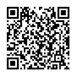 总留人一线……若只是确保婴孩的完全正常人状态二维码生成
