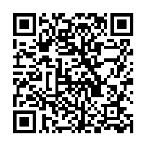 总算叶笑还知道这一猫一鸟并不是真正意义上的猫和鸟二维码生成