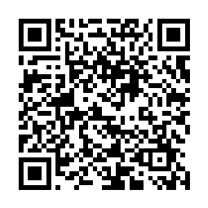 总算对洞天世界的一切秩序建设布置等有了一个全面的认知二维码生成