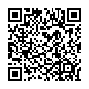 总算陆续有七八只受了轻伤的野鸡入住到了里面二维码生成