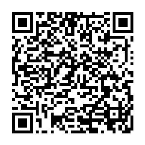 总经理办公室那边也是亲自打电话安排影视部这边给自己安排节目和专访二维码生成