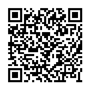 总而言之叶凡的最终目的肯定是将武林拖上战场二维码生成