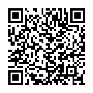 总裁特意让他去收集调查关灿灿外公案件的资料二维码生成