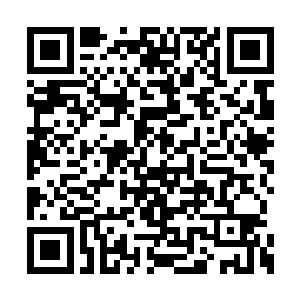 总要黑甲修士先死上数万才能到我们银甲修士吧二维码生成