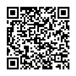 总觉得他已经又进入研究模式而不是关心孙女的男朋友二维码生成