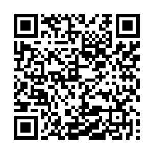 总觉得要是表情太过丰富就毁了她这个冰山老大的人设二维码生成