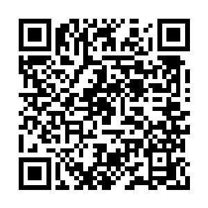 总觉得食物这种东西是这个世界上最美味的食物二维码生成