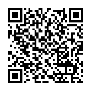 总计十五辆轻型突击战车像是下饺子一样落了下去二维码生成