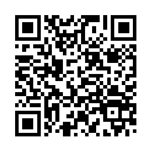 总该告诉在下到底做不做得了主吧二维码生成