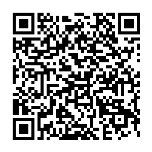 恍如毒蛇一般的黑色触手就好像是被瞬间冻结了一般直接僵硬在了原地二维码生成