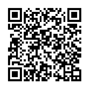 恍惚间仿佛感知到一株参天大树在他的脑域深处拔地而起二维码生成