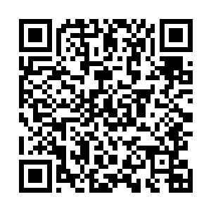 恍惚间想起是那么两次看到申申晚上也进了御千染的寝宫二维码生成