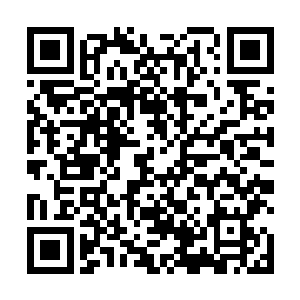 恍然周仓如见自己面前出现了一头极为生猛的獒狮凶兽二维码生成