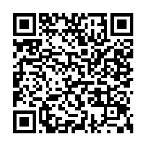 恍然如见两条模糊的白龙蛟在凌统身后显现而出二维码生成