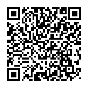 恍然间竟看见姬英身后好像腾起了一面浑身冒着蓝色火焰的猛虎相势二维码生成