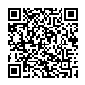 恍若在半空中浮现出一片更加炙热和狂暴的岩浆海二维码生成