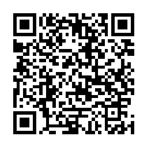 恐怕一眼就能认出海精灵女王胸口悬挂着的那颗心形石头二维码生成