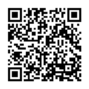 恐怕一般的罗仙境巅峰强者都未必能够战胜……二维码生成