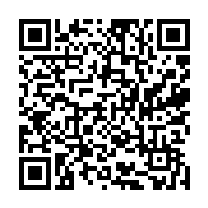 恐怕不可能只有白河谷地和乱石山两个地方有秩序火种庇佑二维码生成