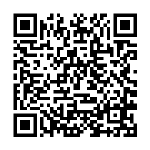 恐怕也不是他们三言两语就能够劝谢文东再改变主意二维码生成