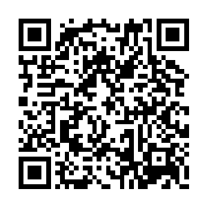 恐怕也会想着将自己这对姐弟的权力给架空起来二维码生成