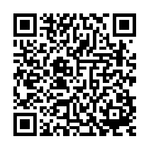 恐怕也会认为操控凌天一号的是那个在远程上有所建树的凌蘭了二维码生成