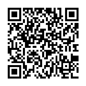 恐怕也只剩下这种方式才能那些账单发挥应有的作用二维码生成