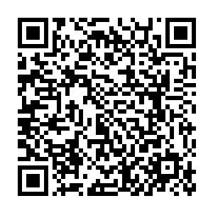 恐怕也只有上次在焚天秘境中看到那一池子的火莲能够与之相媲美二维码生成