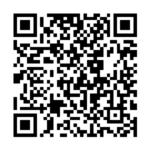 恐怕也只有位面守护那个级数的强者才能和他抗衡了二维码生成