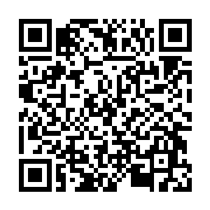 恐怕也只有你这种黄嘴丫子还没退的小子才会买二维码生成