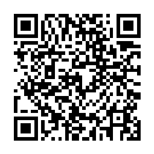 恐怕也只有达到师尊这种层次的天地至尊才能够回答你了二维码生成