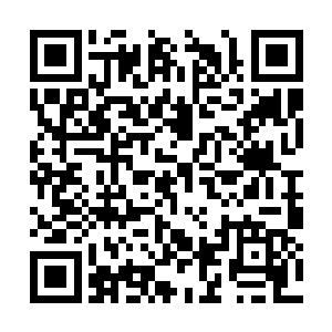 恐怕也在这一瞬间什么都不留下就被这一掌湮灭了二维码生成